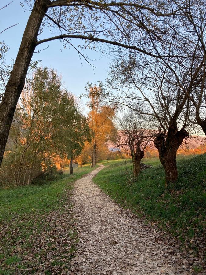 Apartament Casa Del Nonno Leone Tarzo Zewnętrze zdjęcie